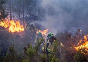 В Испании лесные пожары уничтожили почти 250 тыс. гектаров угодий