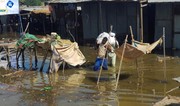 Floods kill 340 in Chad