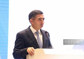 Zaur Əliyev: Ölkəyə gələn turistlərin tibbi ehtiyacları üçün assistant şirkətləri ilə danışıqlara başlanılıb