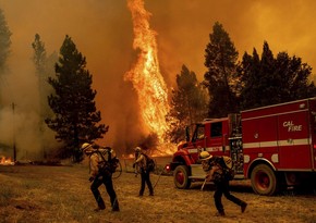 В Чехии около 700 пожарных задействовали в борьбе с огнем в нацпарке