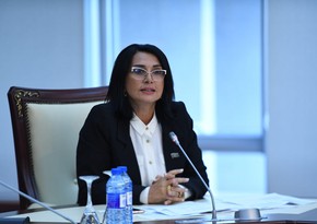 Deputat: Erməni lobbisinin marionetinə çevrilmiş Fransa Ermənistanın əli ilə bölgədə öz arzularını həyata keçirməyə çalışır