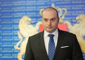 Премьер Грузии: В Тбилиси полиция была вынуждена применить законную силу