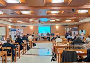 На международной конференции в Афинах был поднят вопрос о разрушенных Арменией азербайджанских кладбищах
