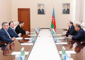 Azerbaijan, Tajikistan discuss cooperation in healthcare