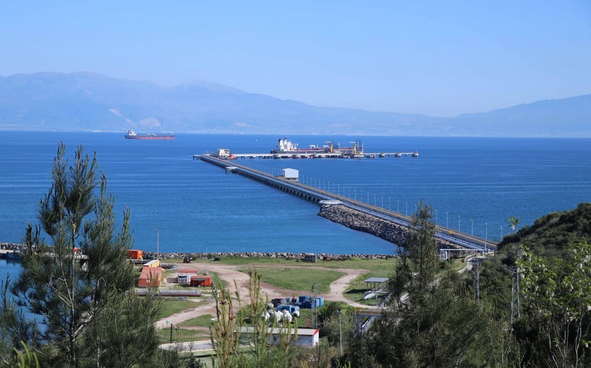 Ceyhan oil terminal halts ops after Turkiye quake 