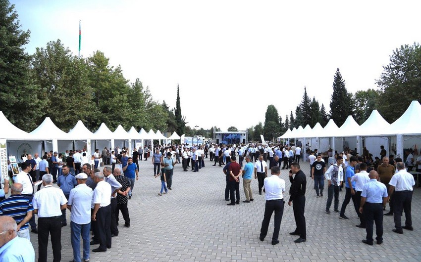 Masallıda “KOB FEST” sərgi-satış yarmarkası keçirilir