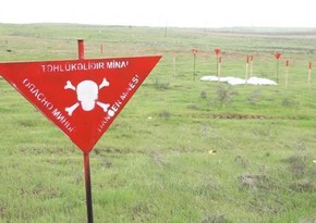 ANAMA: На освобожденных территориях обнаружено еще 69 мин