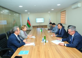 WHO to create Simulation and Training Center in Azerbaijan
