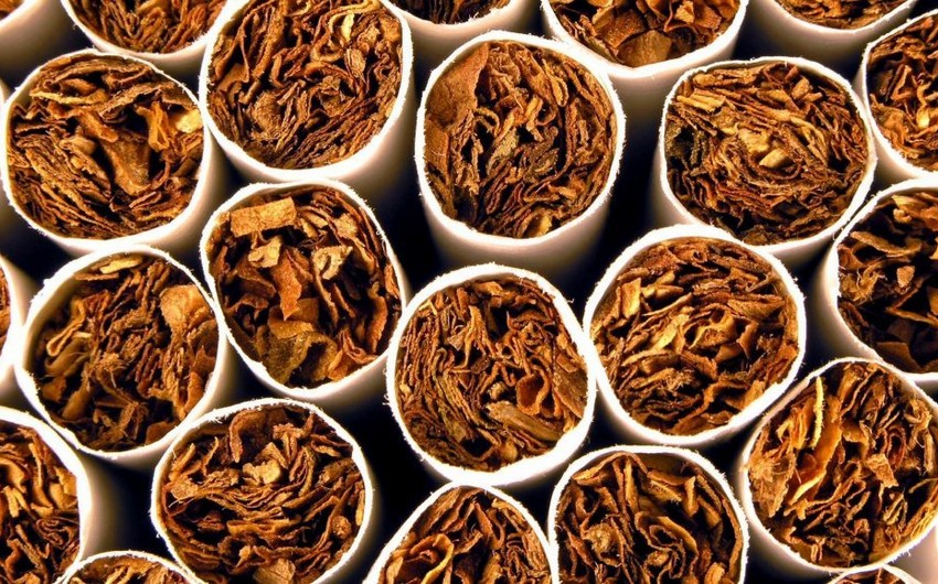 Азербайджан снизил затраты на импорт табака в этом году