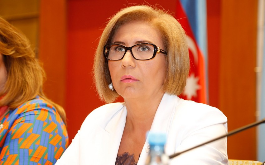 Бахар Мурадова опровергла утверждения о нерассмотрении документов из Милли Меджлиса