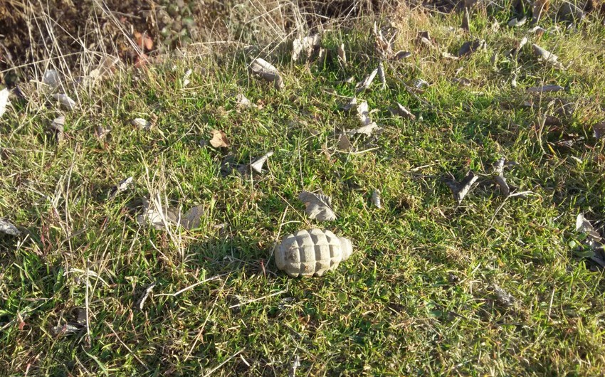 В Агстафе на придворовом участке найдена граната F-1 - ФОТО