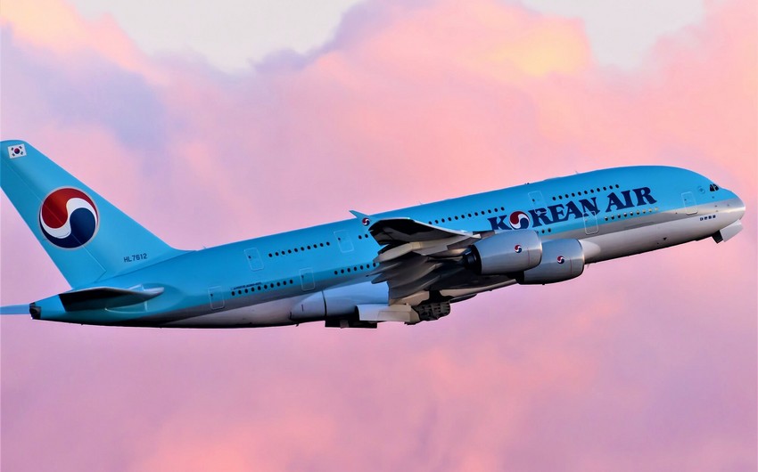 Пассажиров самолета Korean Air эвакуировали после обнаружения пули на борту судна