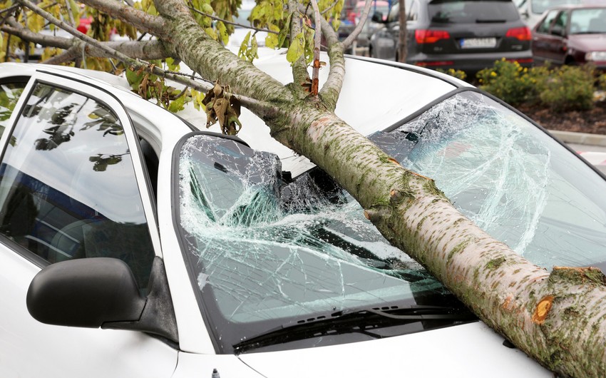 В Хачмазе автомобиль врезался в дерево, водитель пострадал 