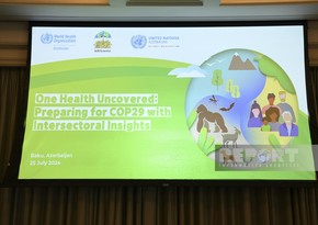WHO office in Azerbaijan and partners hold symposium related to COP29