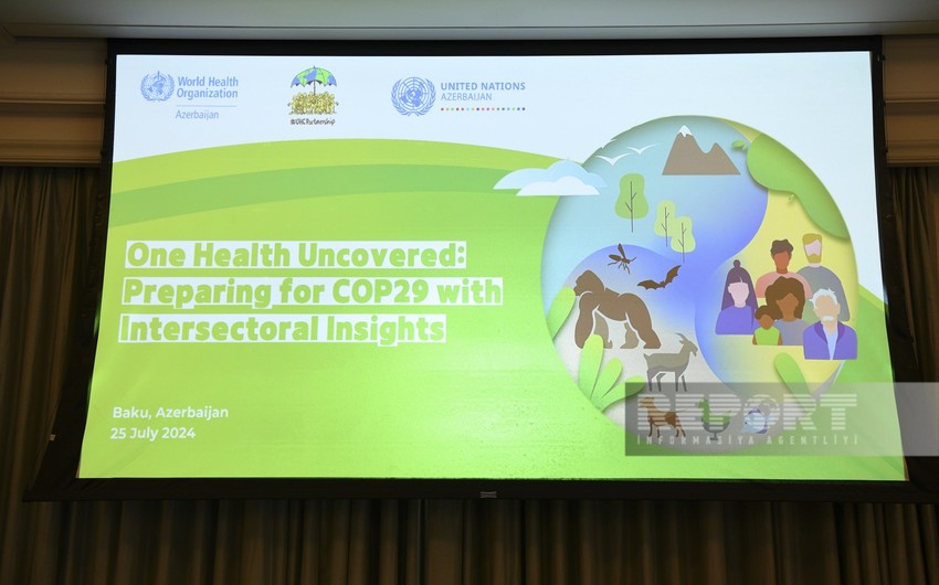 WHO office in Azerbaijan and partners hold symposium related to COP29