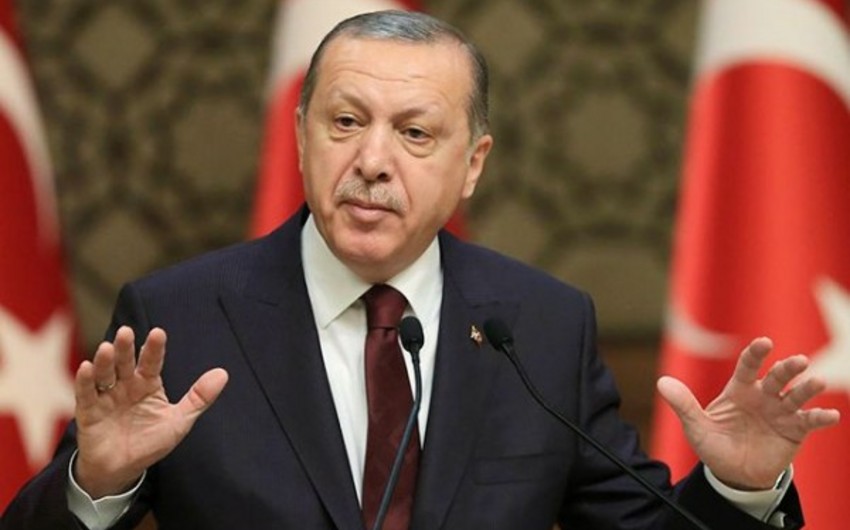 Эрдоган: Главная угроза для Турции в Сирии исходит со стороны США