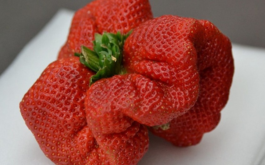 Israeli strawberry wins Guinness record as world’s largest