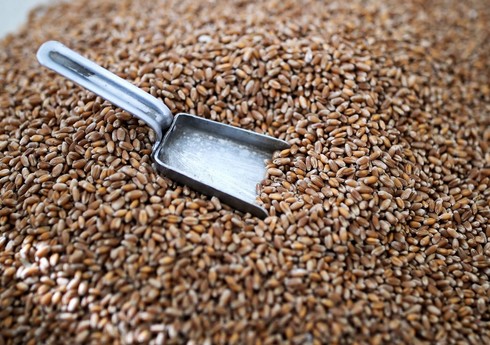 Азербайджан резко сократил импорт пшеницы