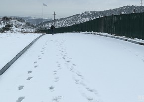 Winter tracery: Snowy Baku - PHOTO REPORT