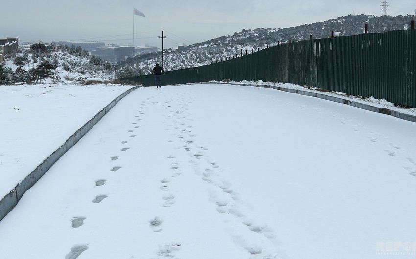 Winter tracery: Snowy Baku - PHOTO REPORT