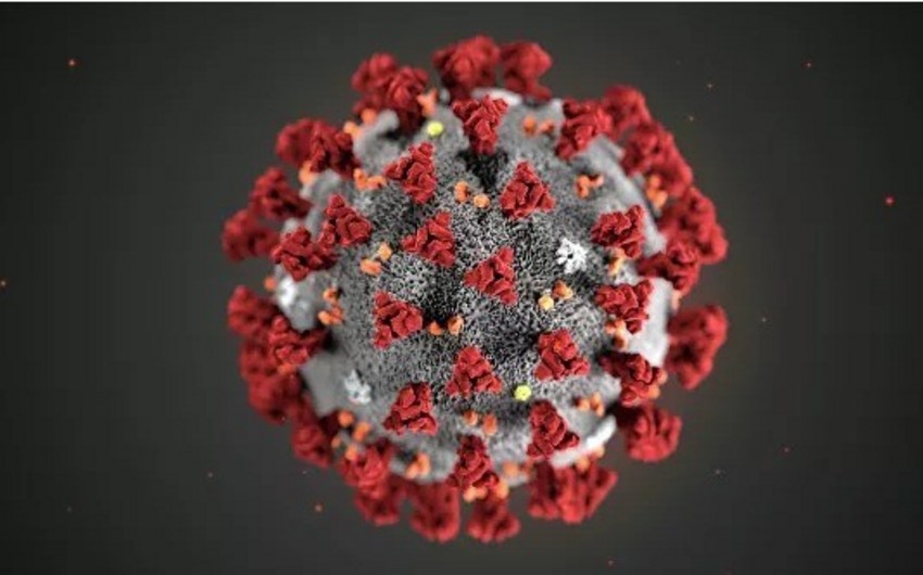 Çindən Fransaya gələn 20 nəfərdə koronavirus əlamətləri aşkarlanıb