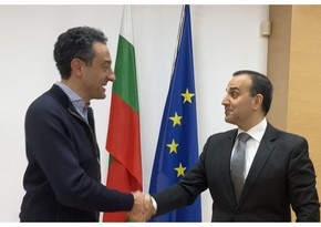 Azerbaijan, Bulgaria discuss cooperation in ICT