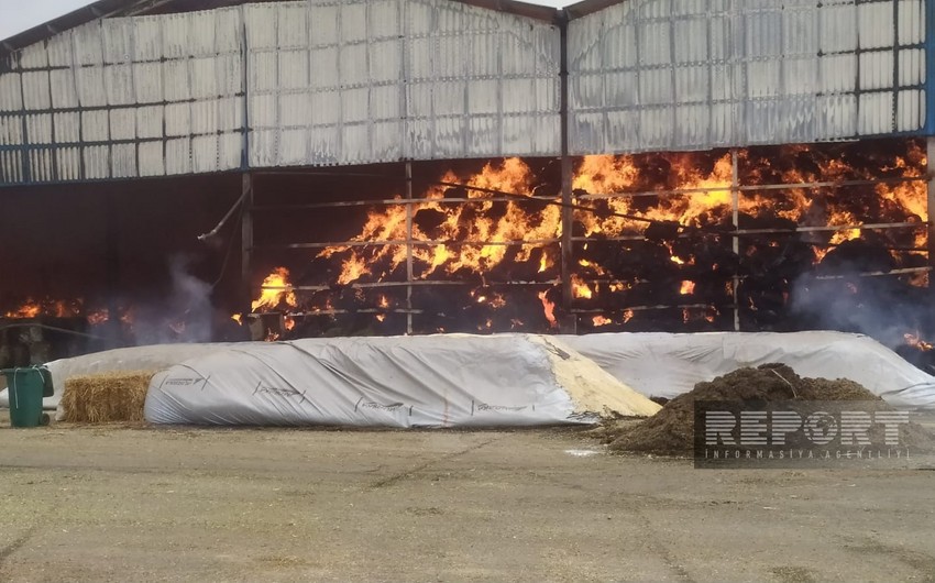 Yalama agricultural park hit by strong fire