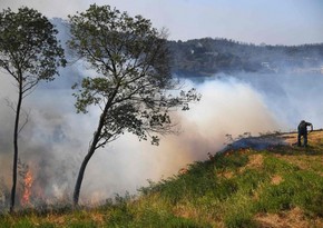 Georgia warns people of possible forest fires