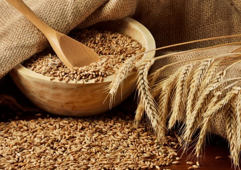 Россия хочет с 15 марта повысить экспортную пошлину на пшеницу