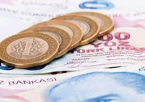 Центробанк Турции снова проведет валютные интервенции из-за падения лиры