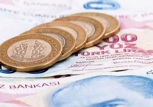 Центробанк Турции снова проведет валютные интервенции из-за падения лиры