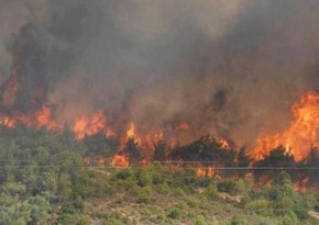 В пригородах Афин тушат лесные пожары с применением авиации