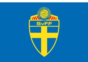 Федерация футбола Швеции: Мы не допустим никаких провокаций в игре с Азербайджаном