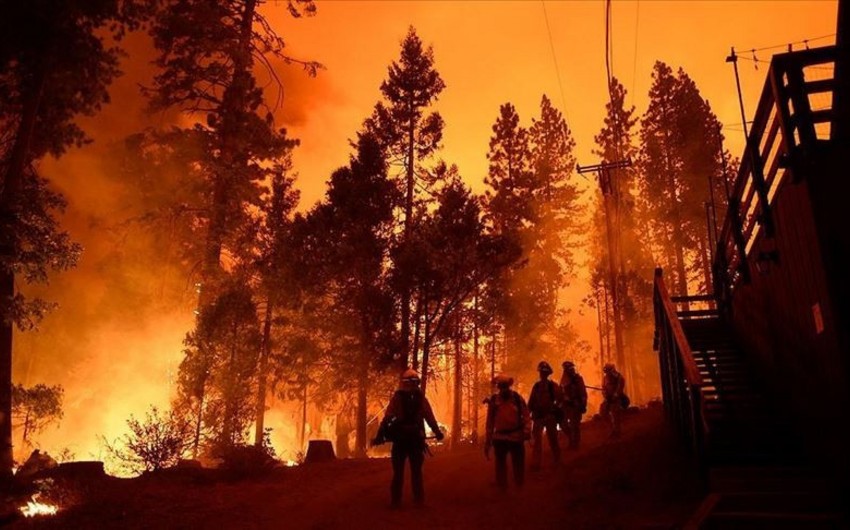 ABŞ-da meşə yanğını nəticəsində 580 ev yanıb, on minlərlə insan təxliyə edilib