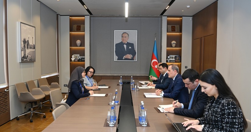 Azerbaijani FM, AIPA Secretary-General discuss regional situation