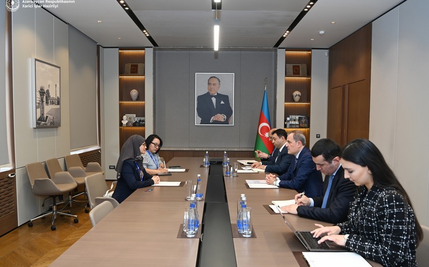 Azerbaijani FM, AIPA Secretary-General discuss regional situation