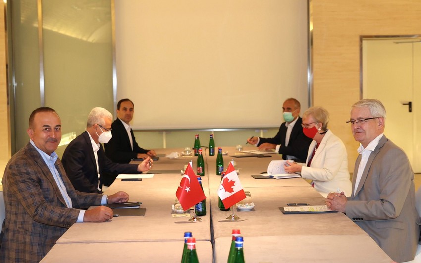 Главы МИД Турции, Канады и Литвы обсудили борьбу с ИГИЛ