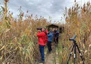 Foreign media reps, tour operators get acquainted with ornithological tourism opportunities of Azerbaijan