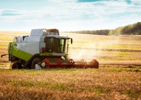 Belarus expands agricultural co-op with Azerbaijan