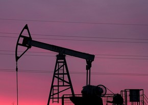 МЭА: Страны ОПЕК+ в декабре отстали от плана по добыче нефти на 1,77 млн баррелей