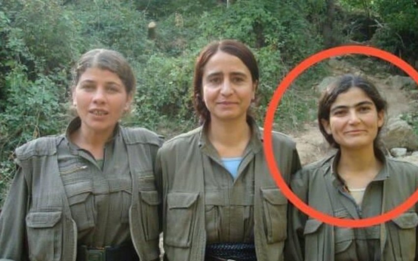 PKK terror qruplaşmasının liderlərindən biri zərərsizləşdirilib