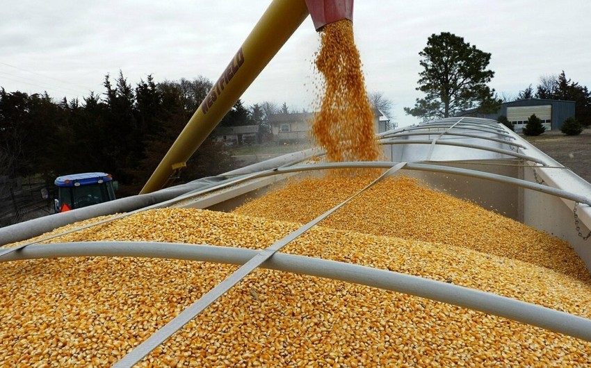 Украинское зерно также будет экспортироваться через Польшу
