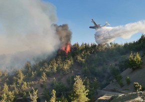 Пожар в горном районе Лерика локализован