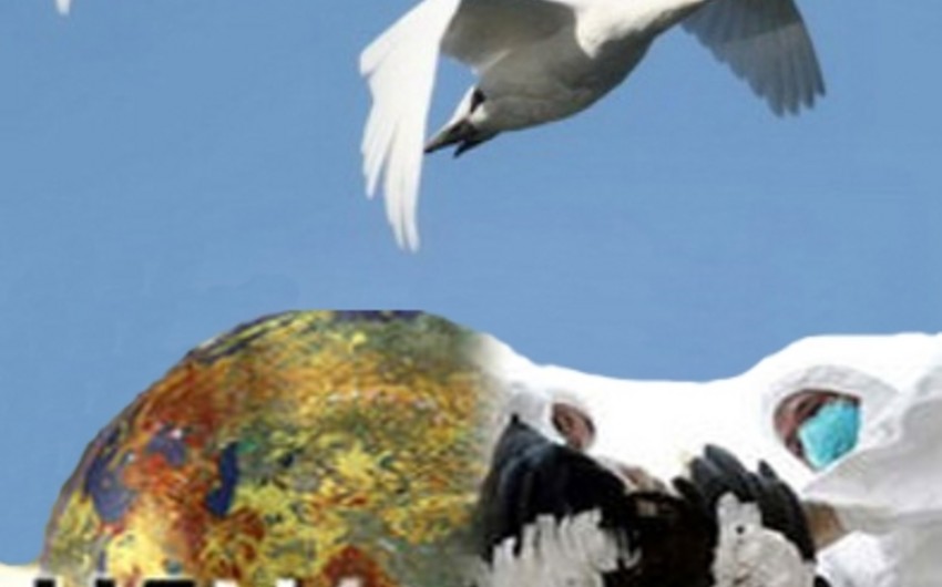Next monitoring started on bird flu in Azerbaijan