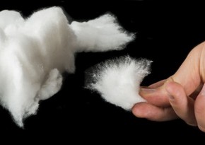 Minister: 'Purchase price of cotton should be reconsidered'