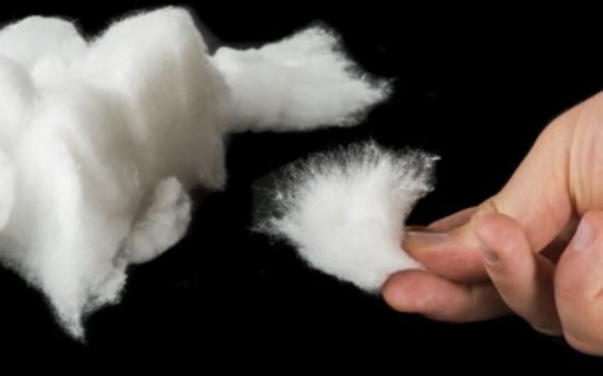 Minister: 'Purchase price of cotton should be reconsidered'