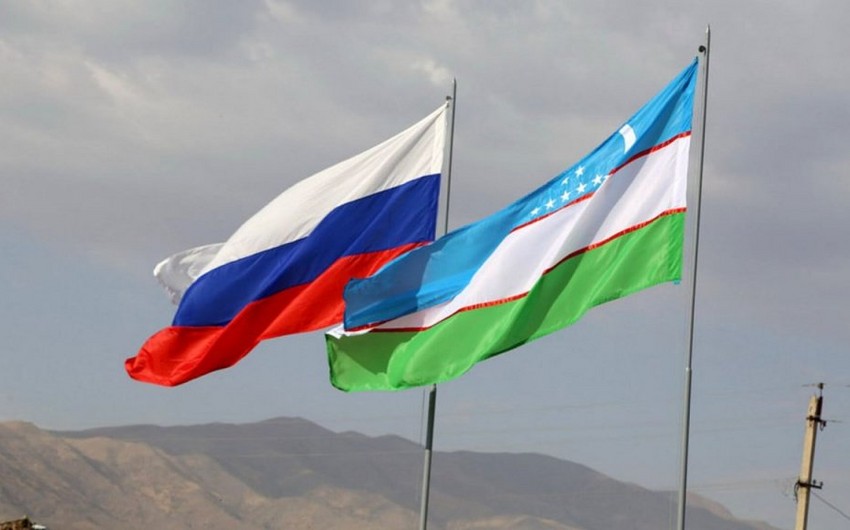 PMs of Russia, Uzbekistan discuss economic ties