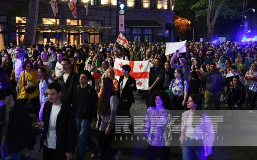 В Тбилиси у здания парламента возобновилась акция протеста