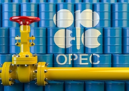 ОПЕК: Нефтяная отрасль должна быть частью адаптации к изменениям климата