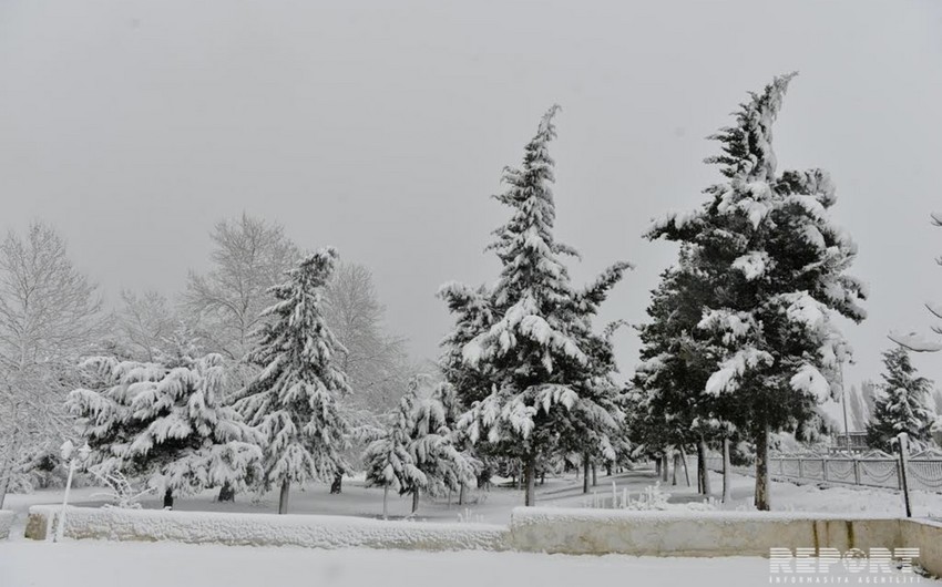 В Хыналыге выпал снег высотой 22 см - ФАКТИЧЕСКАЯ ПОГОДА